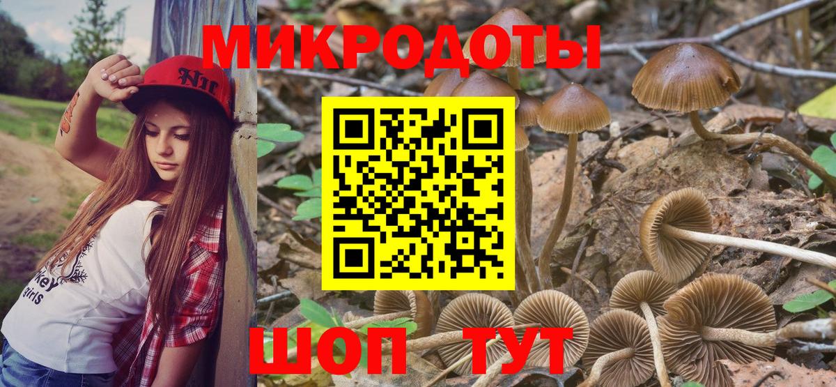 Псилоцибиновые грибы Cubensis  как найти наркотики  Ирбит  Вход с VPN  Псилоцибиновые грибы Psilocybe 